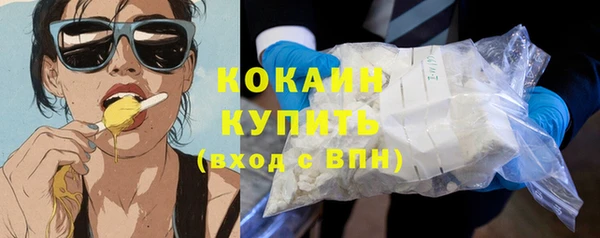 эйфоретик Пересвет