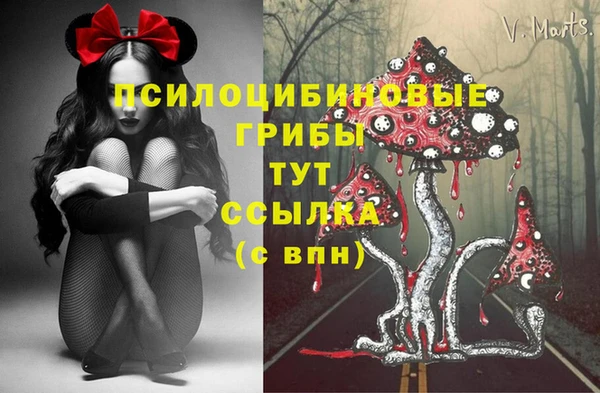 гашик Переславль-Залесский