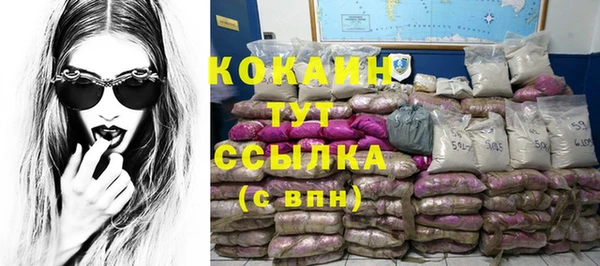 эйфоретик Пересвет