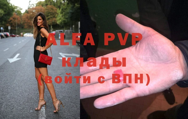 эйфоретик Пересвет