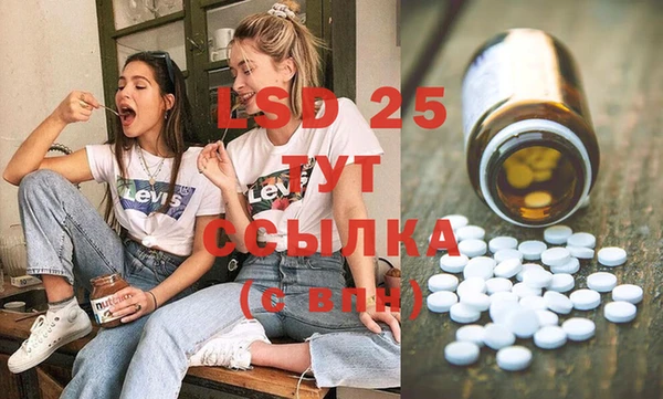 2c-b Инсар