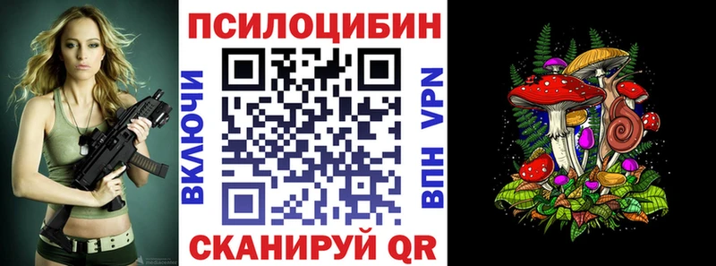 хочу наркоту  Котельнич  MEGA зеркало  Галлюциногенные грибы Psilocybine cubensis 
